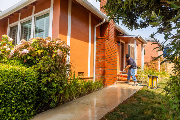 Best Pressure Washing Near Me  in Roselawn, IN