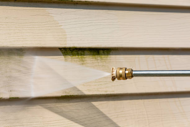 Best Fence Pressure Washing  in Roselawn, IN