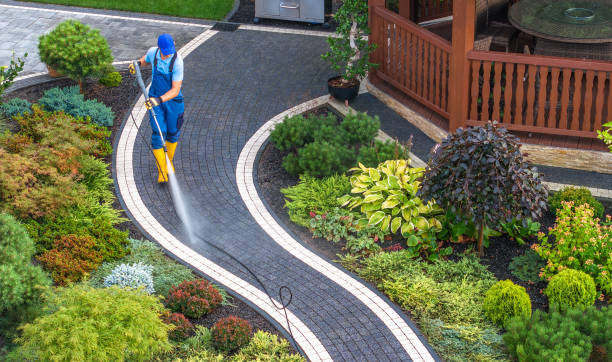 Best Roof Power Washing Services  in Roselawn, IN